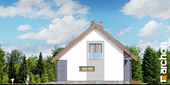 Проект дома Дом в герминии - 4 С мансардным этажом дома в Киеве