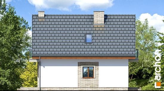 Проект дома Дом в сон-траве (А) - 5 С мансардным этажом дома в Киеве