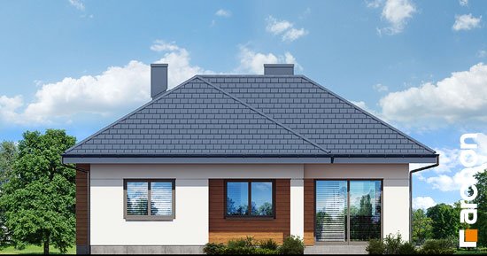 Проект дома Дом в коштелях - 6 Одноэтажные дома в Киеве