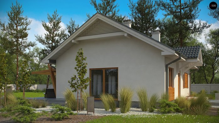 Проект дома U308 - 6 Одноэтажные дома в Киеве