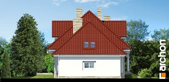 Проект дома Дом в каллах (Г2) вер.2 - 5 С мансардным этажом дома в Киеве