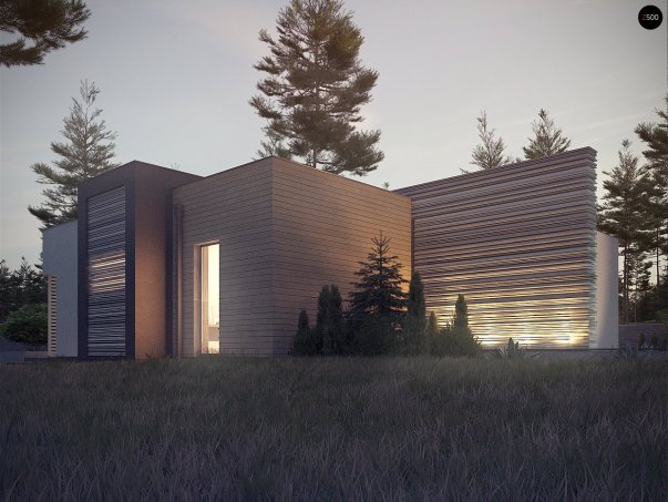 Проект дома Ux65 + - 18 Одноэтажные дома в Киеве