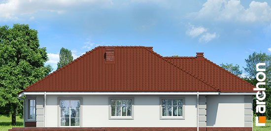 Проект дома Дом под красной рябиной (Г) вер.3 - 6 Одноэтажные дома в Киеве