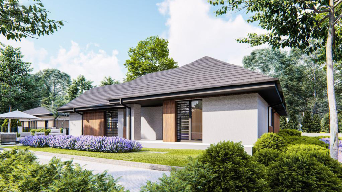 Проєкт будинку U402 35 - Одноповерхові дома у Києві