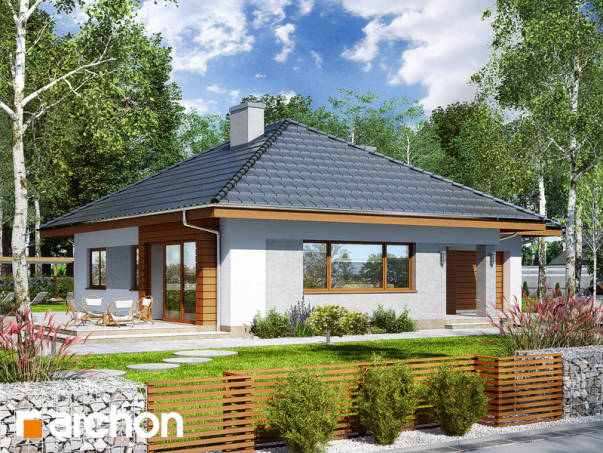 Проєкт будинку Будинок в бузку 2 - Одноповерхові дома у Києві