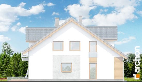 Проект дома Дом под гинко (ГБСМ) - 5 С мансардным этажом дома в Киеве