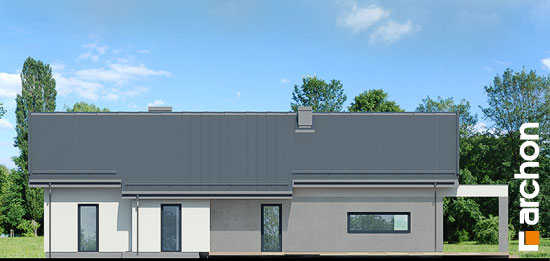 Проект дома Дом в пеперомиях 4 - 6 Одноэтажные дома в Киеве