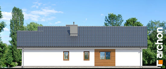 Проект дома Дом в лиредах - 5 Одноэтажные дома в Киеве