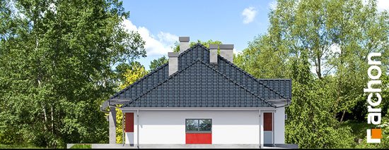 Проект дома Дом в гаурах (Г2Н) - 5 Одноэтажные дома в Киеве