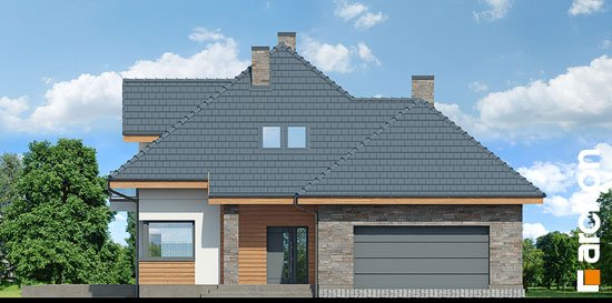 Проект дома Дом в сансевиериях (Г2) - 3 С мансардным этажом дома в Киеве