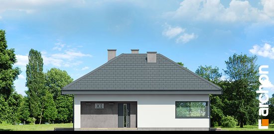 Проєкт будинку Будинок в каландівах - Одноповерхові дома у Києві