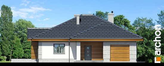 Проект дома Дом в лобо вер.2 - 3 Одноэтажные дома в Киеве