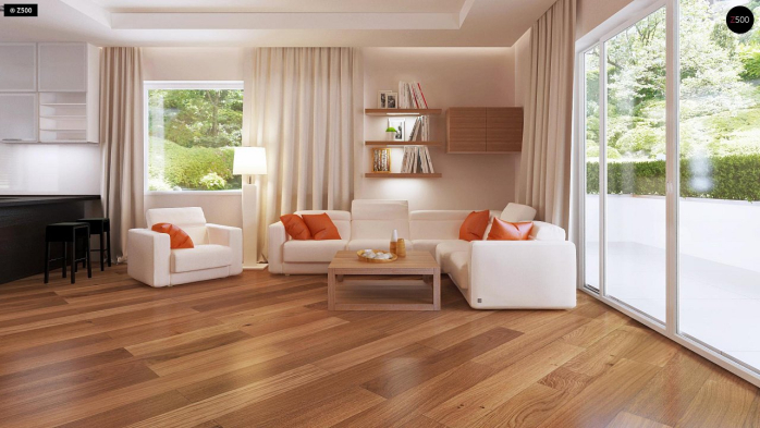 Проект дома U35 - 3 Одноэтажные дома в Киеве