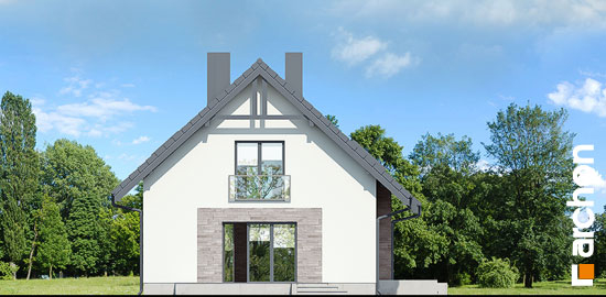 Проект дома Дом в люцерне 4 вер.2 - 5 С мансардным этажом дома в Киеве