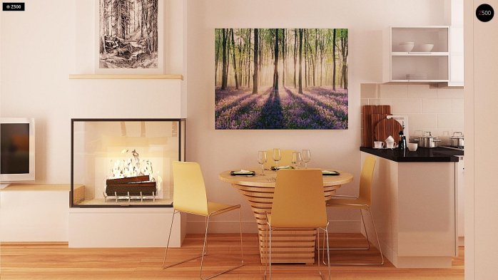 Проект дома U11 - 8 Одноэтажные дома в Киеве