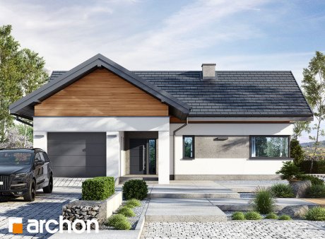 Проєкт будинку Будинок в цикорії