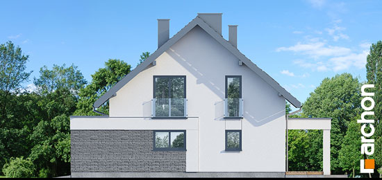 Проект дома Дом в нефрисах (Г2) - 4 С мансардным этажом дома в Киеве