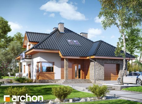 Проект дома Дом в сансевиериях