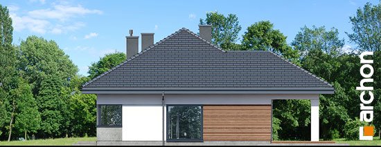 Проект дома Дом в жонкилях (В) - 4 Одноэтажные дома в Киеве