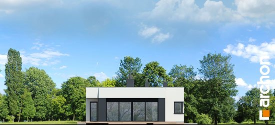 Проект дома Дом в пеперомиях (Г2) - 5 Одноэтажные дома в Киеве