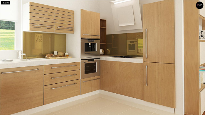 Проект дома U87 - 7 Одноэтажные дома в Киеве