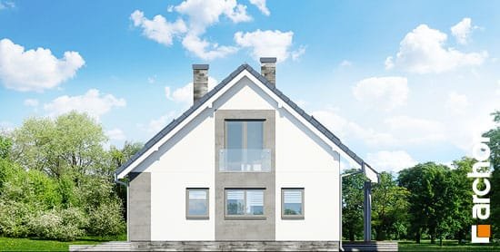 Проект дома Дом в гейджее (П) - 4 С мансардным этажом дома в Киеве