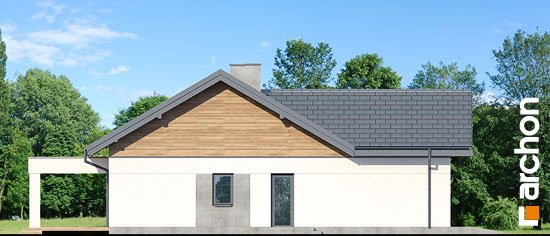 Проект дома Дом в цикории - 5 Одноэтажные дома в Киеве