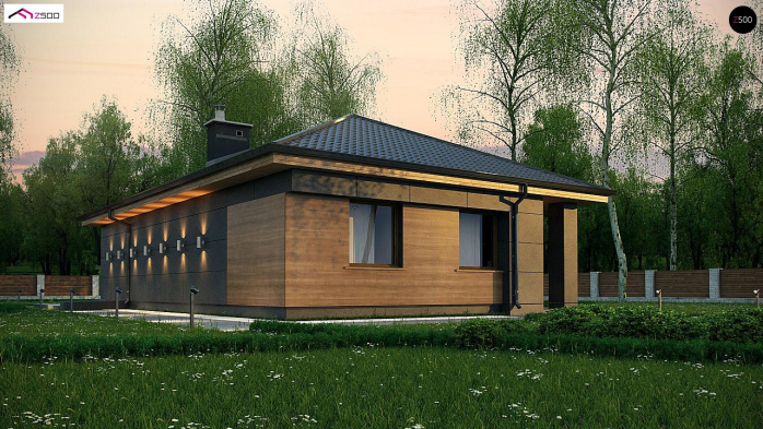 Проект дома U356 - 1 Одноэтажные дома в Киеве