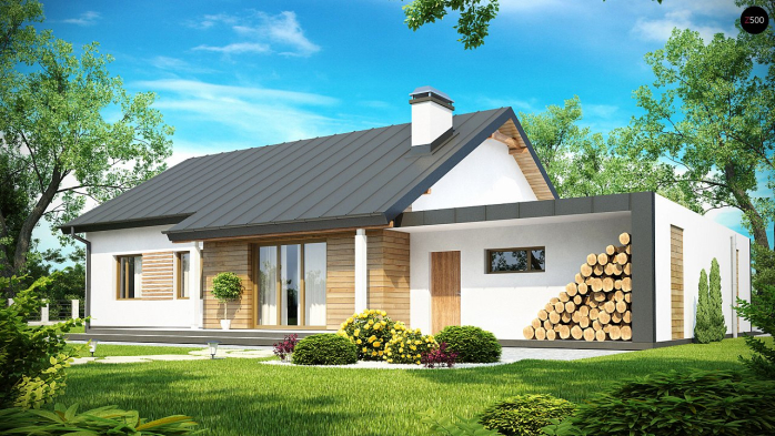 Проект дома U182 - 2 Одноэтажные дома в Киеве