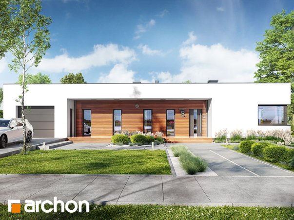 Проект дома Дом в плюмериях 3 (Г) - 1 Одноэтажные дома в Киеве