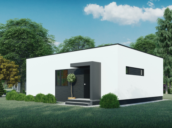 Проєкт будинку DBT 314