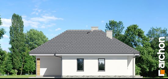 Проект дома Дом в навлоциях - 5 Одноэтажные дома в Киеве