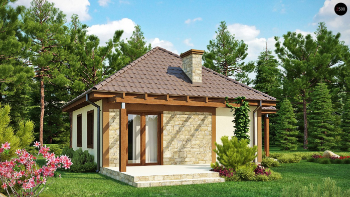 Проект дома U73 - 2 Одноэтажные дома в Киеве