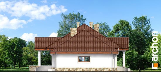 Проект дома Дом в гаурах вер.2 - 4 Одноэтажные дома в Киеве