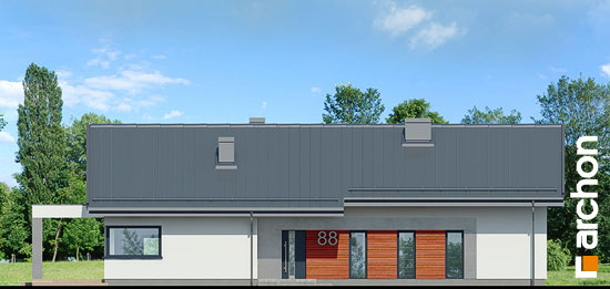 Проект дома Дом в пеперомиях 4 - 3 Одноэтажные дома в Киеве