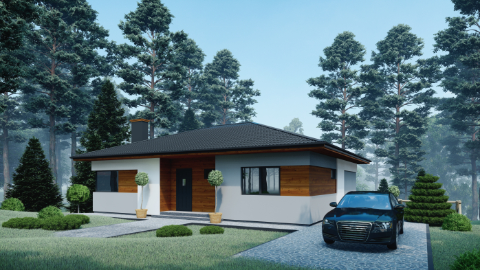 Проєкт будинку DBT 261 - Одноповерхові дома у Києві