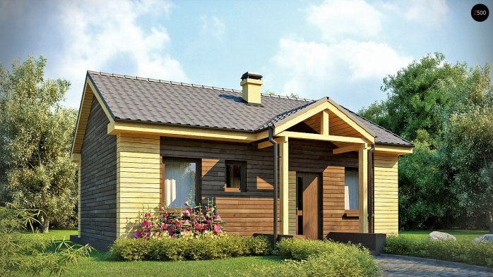 Проект дома U11 - 3 Одноэтажные дома в Киеве