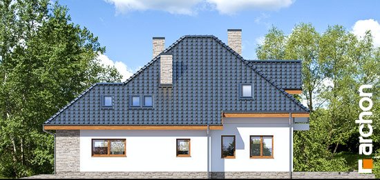 Проект дома Дом в сансевиериях - 4 С мансардным этажом дома в Киеве