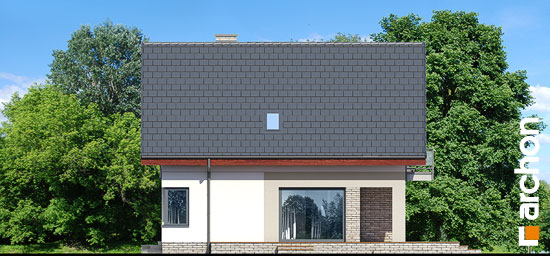 Проект дома Дом в амброзиях - 5 С мансардным этажом дома в Киеве