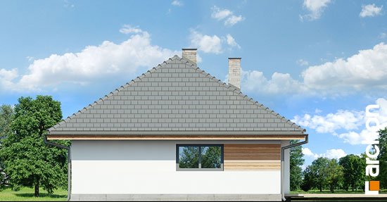 Проект дома Дом в сирени вер.2 - 6 Одноэтажные дома в Киеве