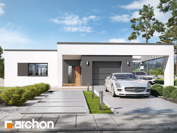 Проект дома Дом в матуканах - 1 Одноэтажные дома в Киеве