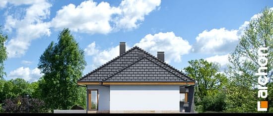 Проект дома Дом под красной рябиной (ГН) вер.2 - 5 Одноэтажные дома в Киеве