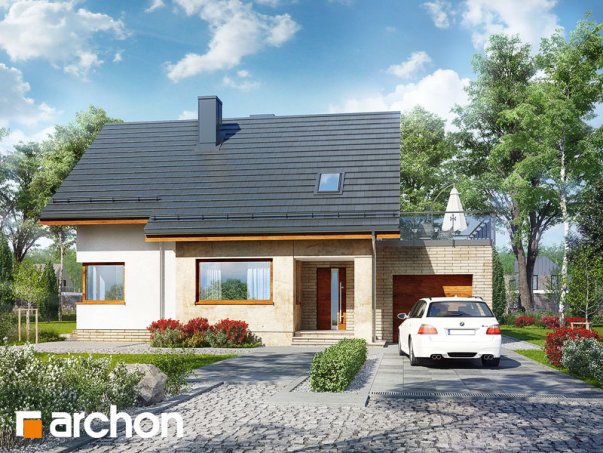 Проект дома Дом в ариземах - 1 С мансардным этажом дома в Киеве