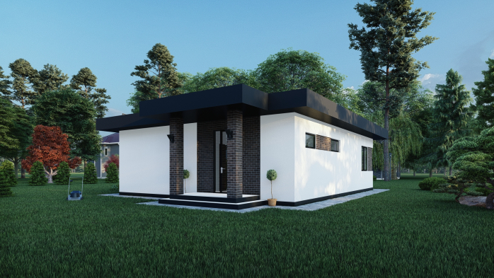 Проект дома DBT 381 - 1 Одноэтажные дома в Киеве