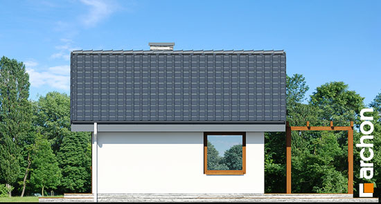 Проект дома Летний домик в крокусах 2 - 4 Одноэтажные дома в Киеве