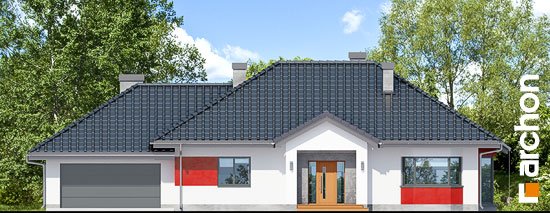 Проект дома Дом в гаурах (Г2Н) - 3 Одноэтажные дома в Киеве