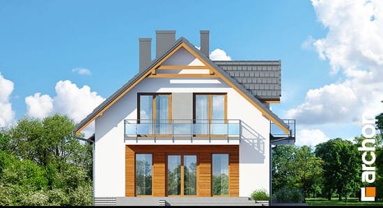 Проект дома Дом в рододендронах 16 - 5 С мансардным этажом дома в Киеве