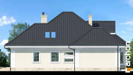 Проект дома Дом под юккой 4 - 5 С мансардным этажом дома в Киеве