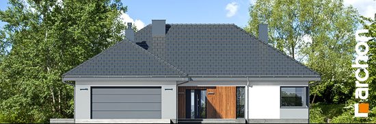 Проект дома Дом в аривах (Г2) - 3 Одноэтажные дома в Киеве