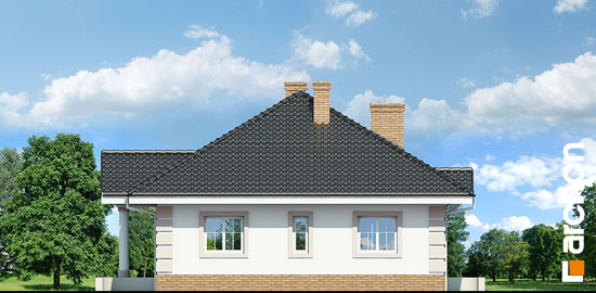 Проект дома Дом под красной рябиной 4 вер.2 - 4 Одноэтажные дома в Киеве